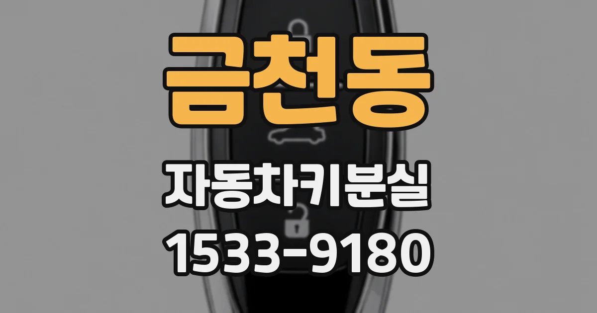 금천동 자동차키분실