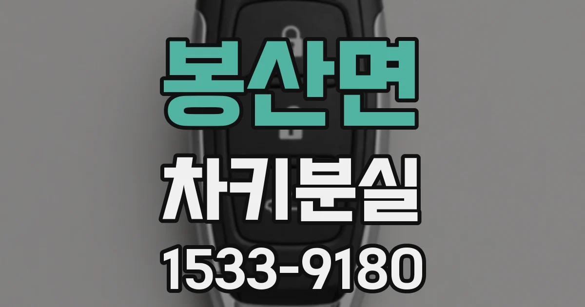 봉산면 차키분실