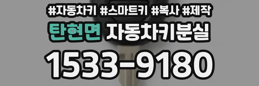 탄현면 자동차키분실