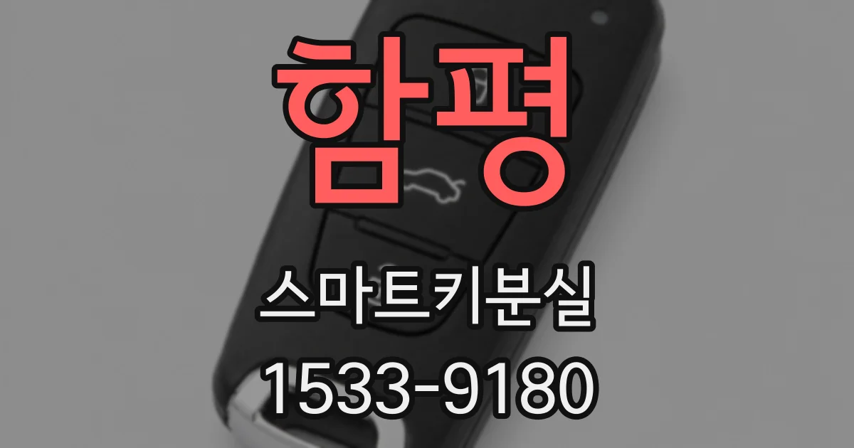 함평 스마트키분실