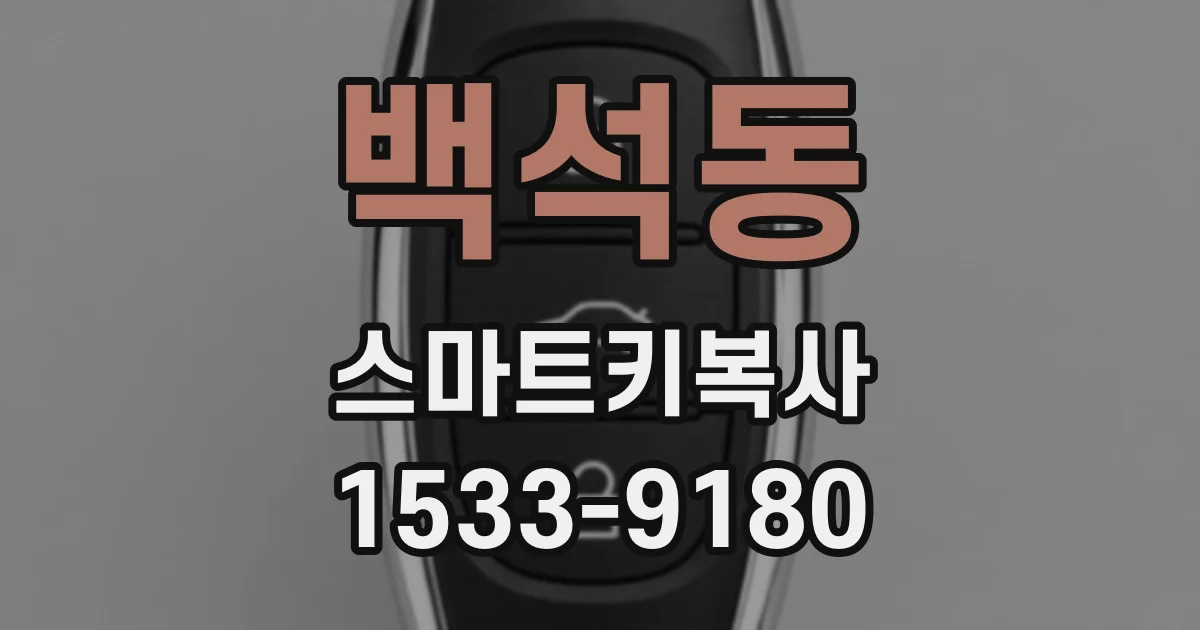 백석동 스마트키복사