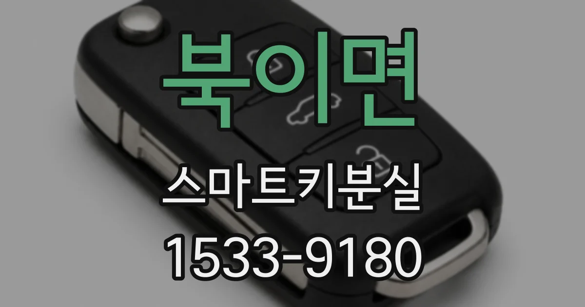 북이면 스마트키분실