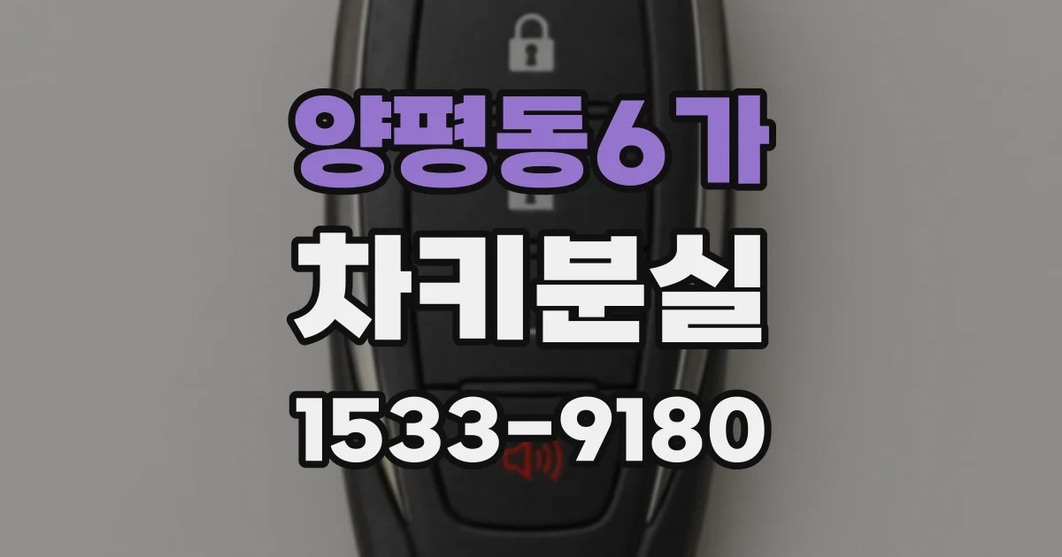 양평동6가 차키분실