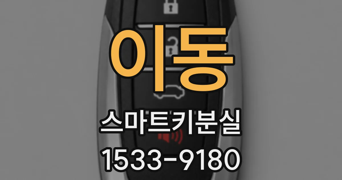 이동 스마트키분실