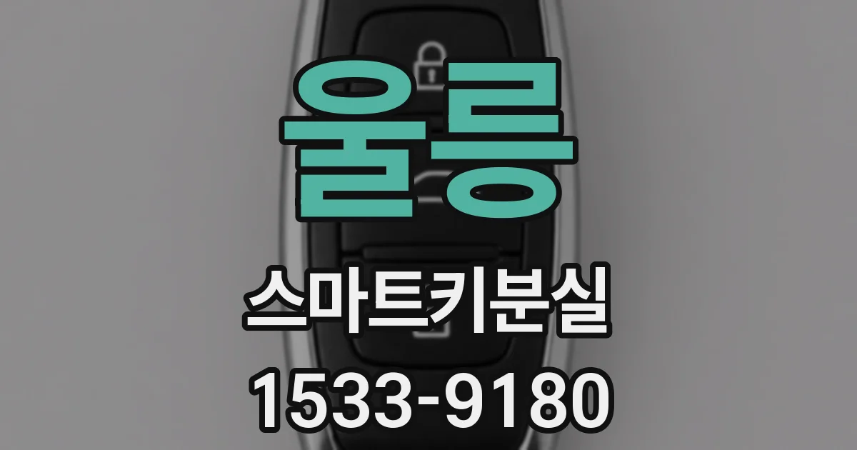 울릉 스마트키분실