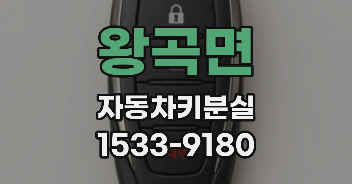 왕곡면 자동차키분실