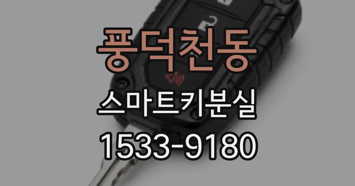 풍덕천동 스마트키분실