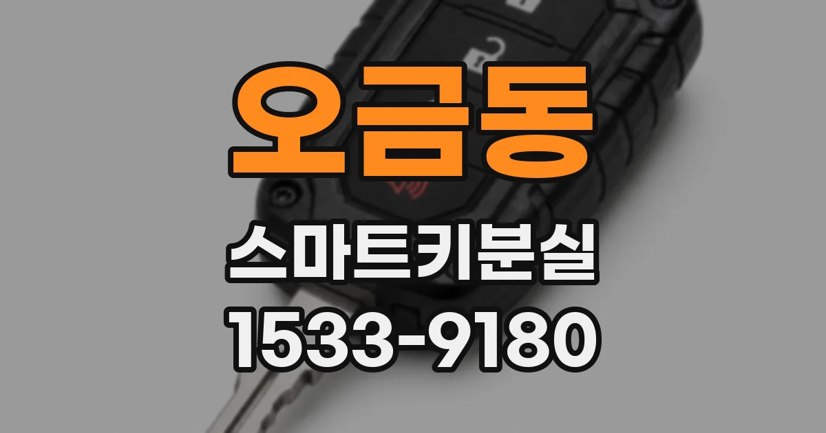 오금동 스마트키분실