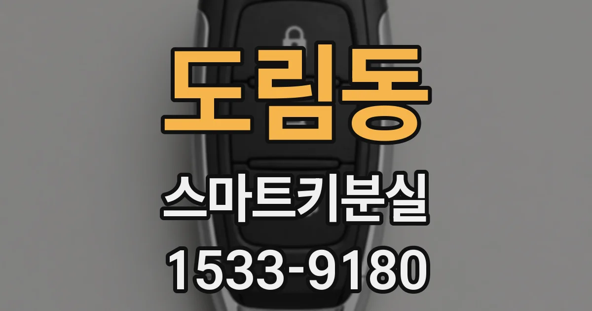 도림동 스마트키분실