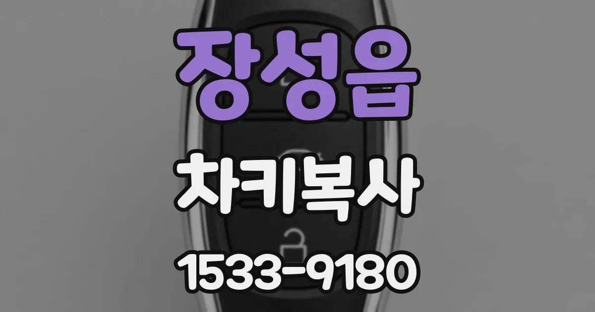 장성읍 차키복사