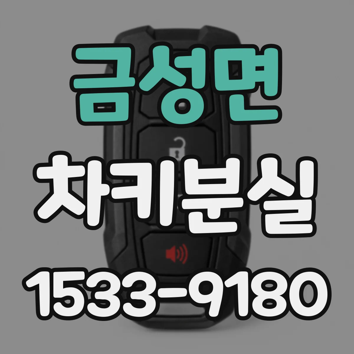 금성면 차키분실