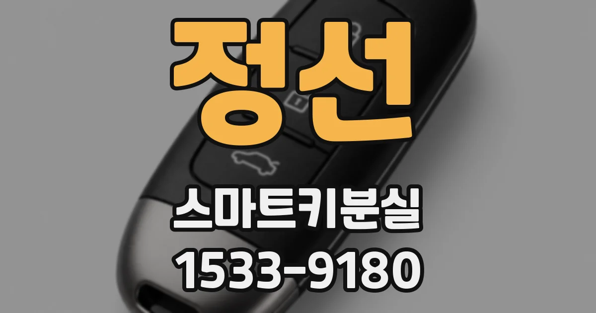 정선 스마트키분실