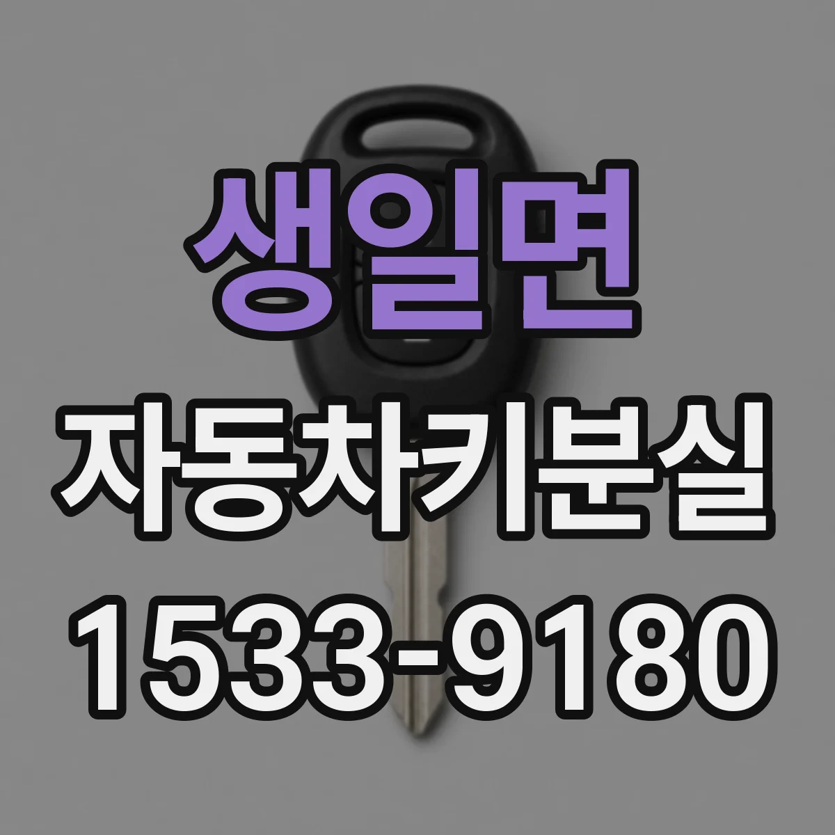 생일면 자동차키분실
