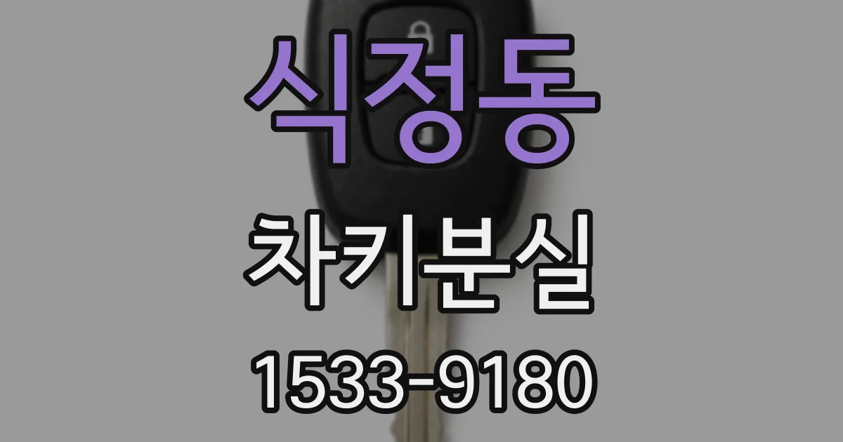 식정동 차키분실