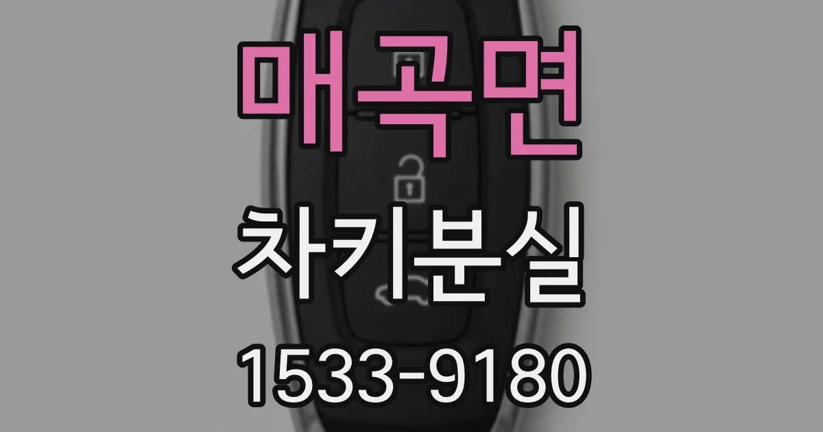 매곡면 차키분실