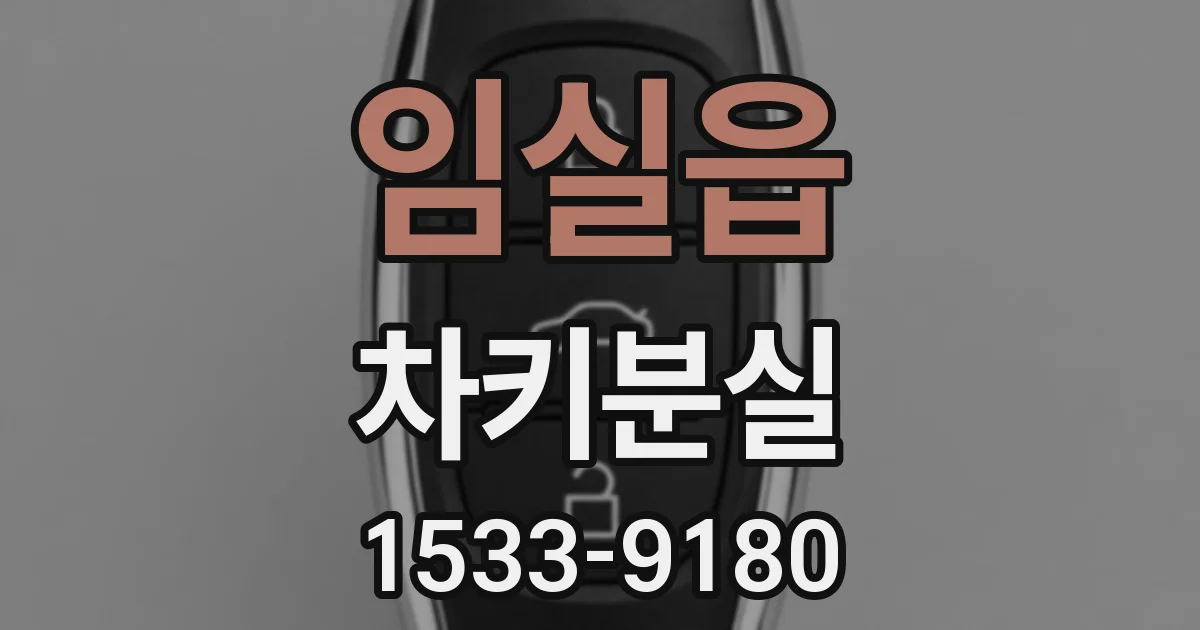 임실읍 차키분실