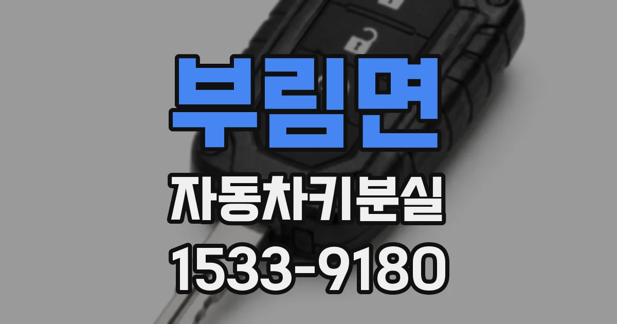 부림면 자동차키분실