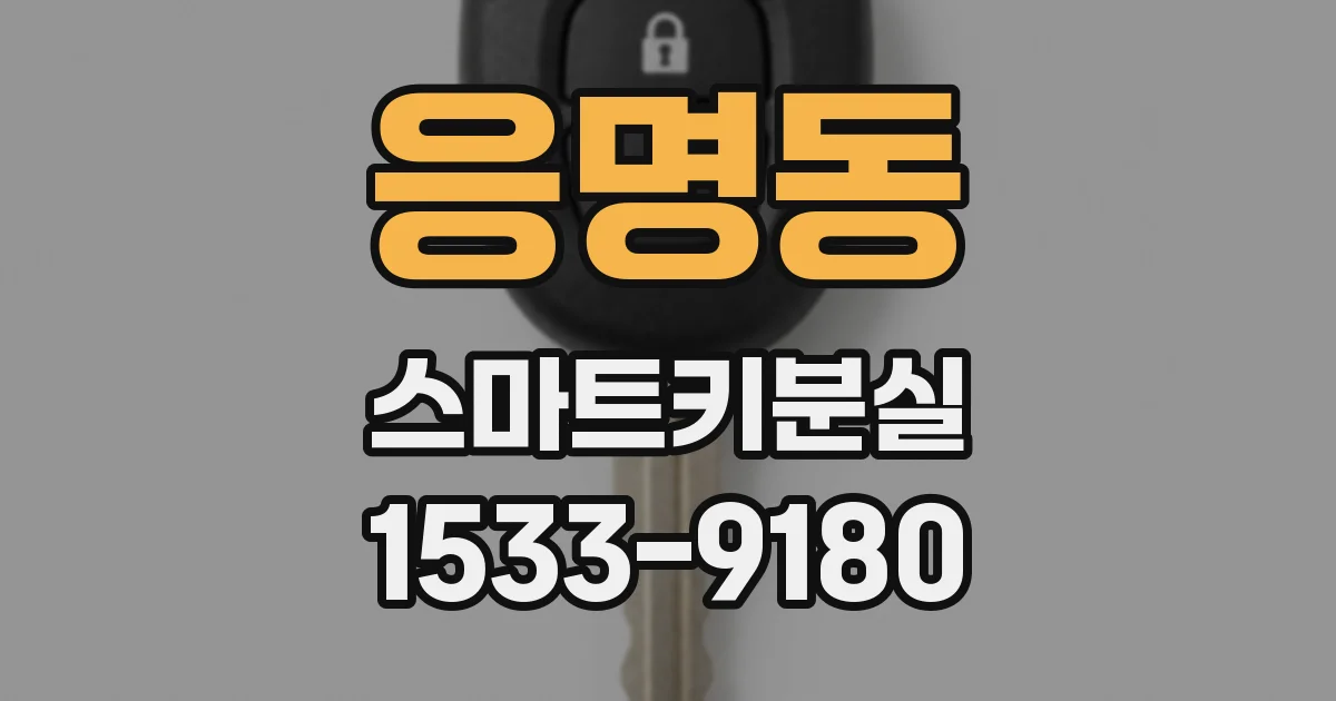 응명동 스마트키분실