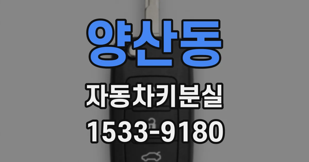 양산동 자동차키분실