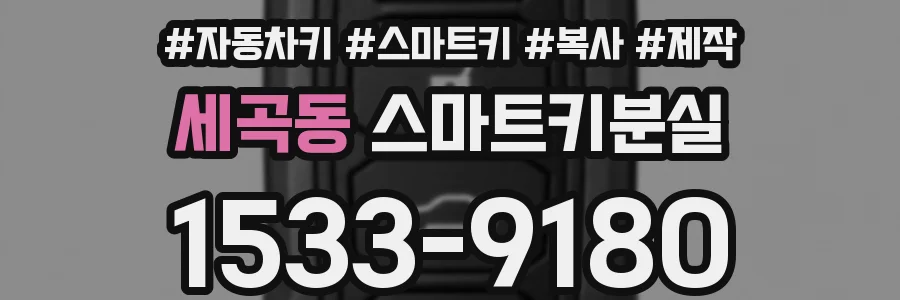 세곡동 스마트키분실