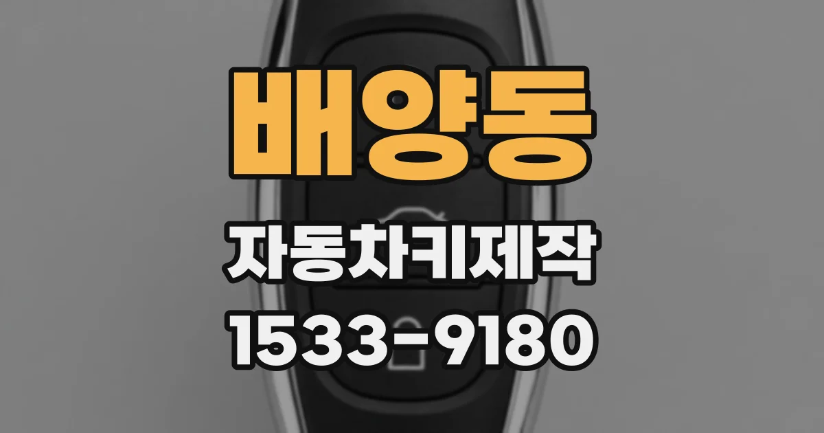 배양동 자동차키제작