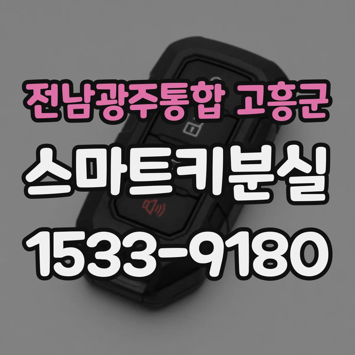 전남광주통합 고흥군 스마트키분실
