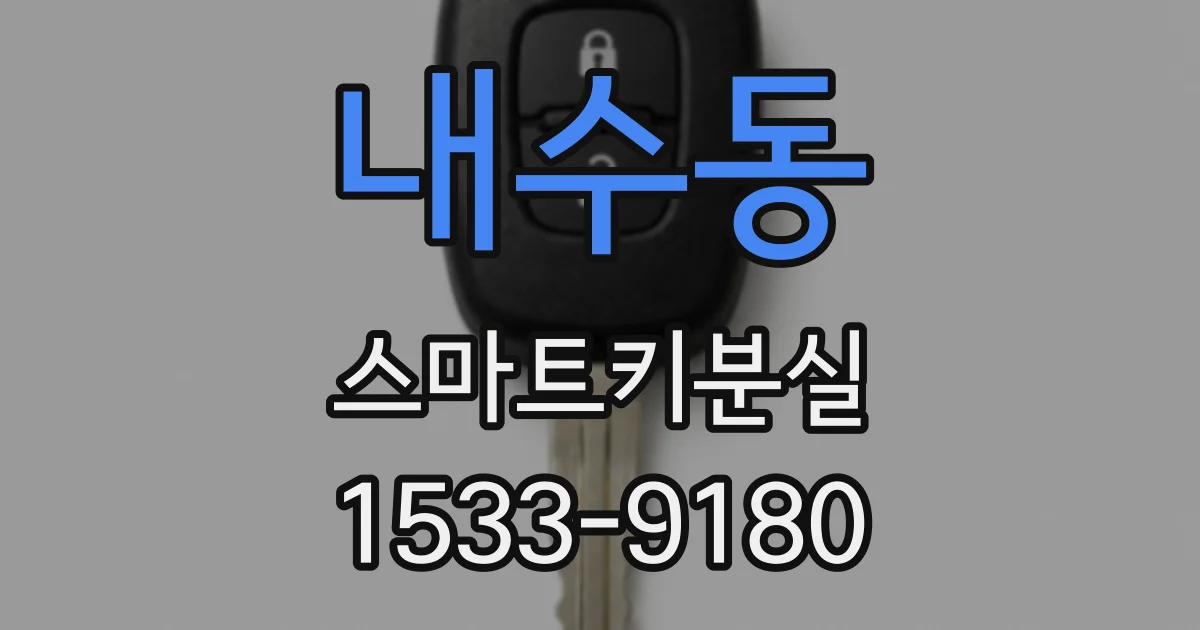 내수동 스마트키분실