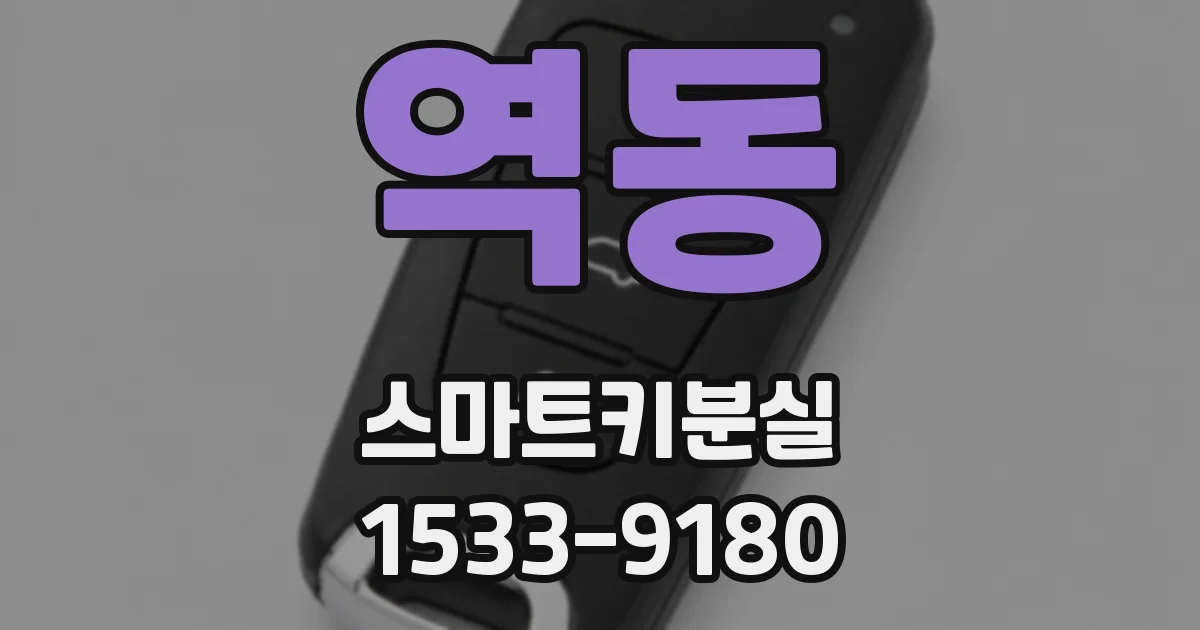 역동 스마트키분실