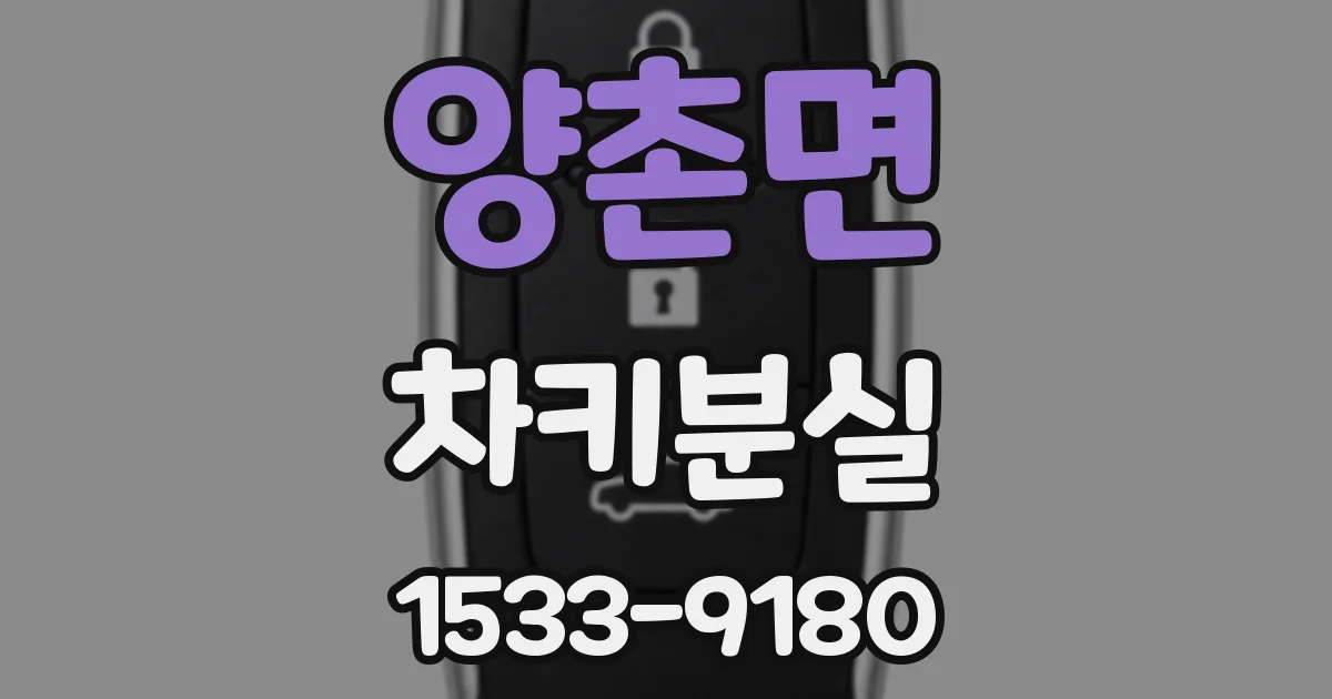 양촌면 차키분실