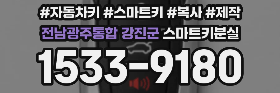 전남광주통합 강진군 스마트키분실