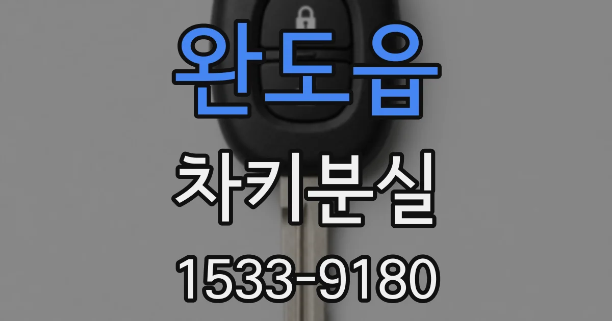완도읍 차키분실