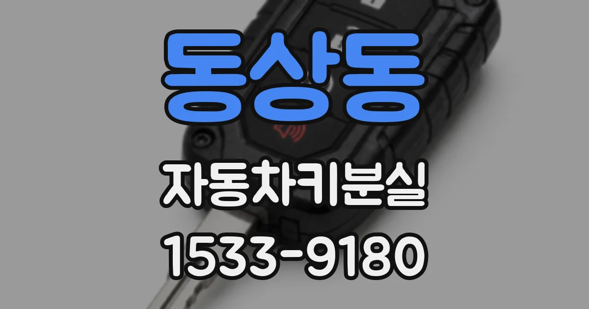 동상동 자동차키분실