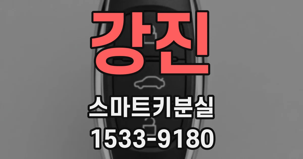 강진 스마트키분실