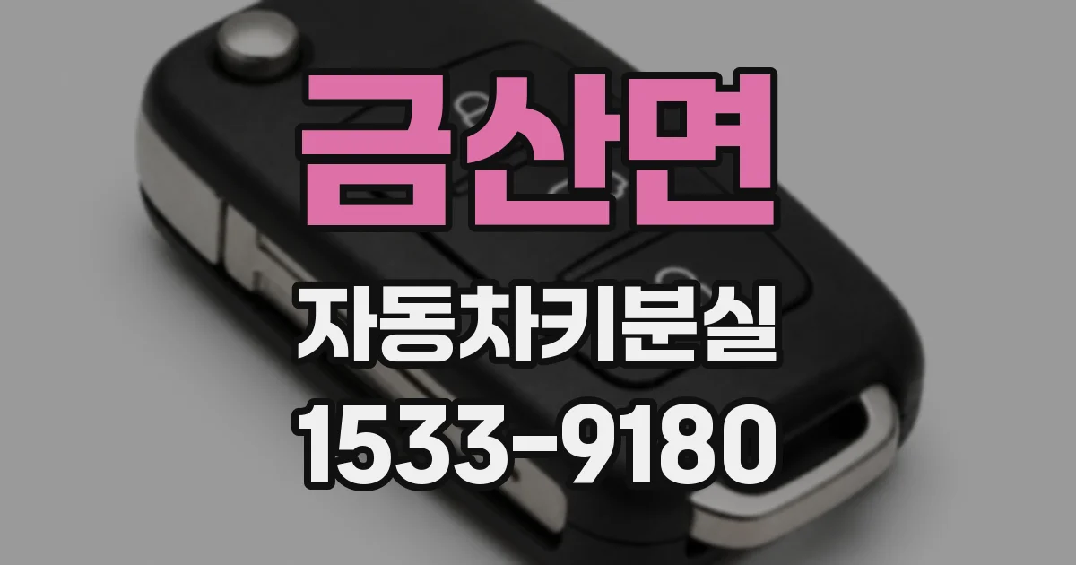 금산면 자동차키분실