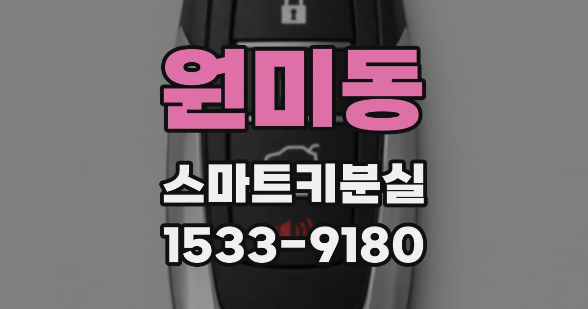 원미동 스마트키분실