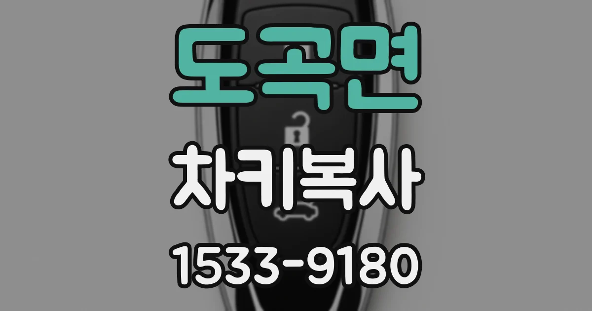 도곡면 차키복사