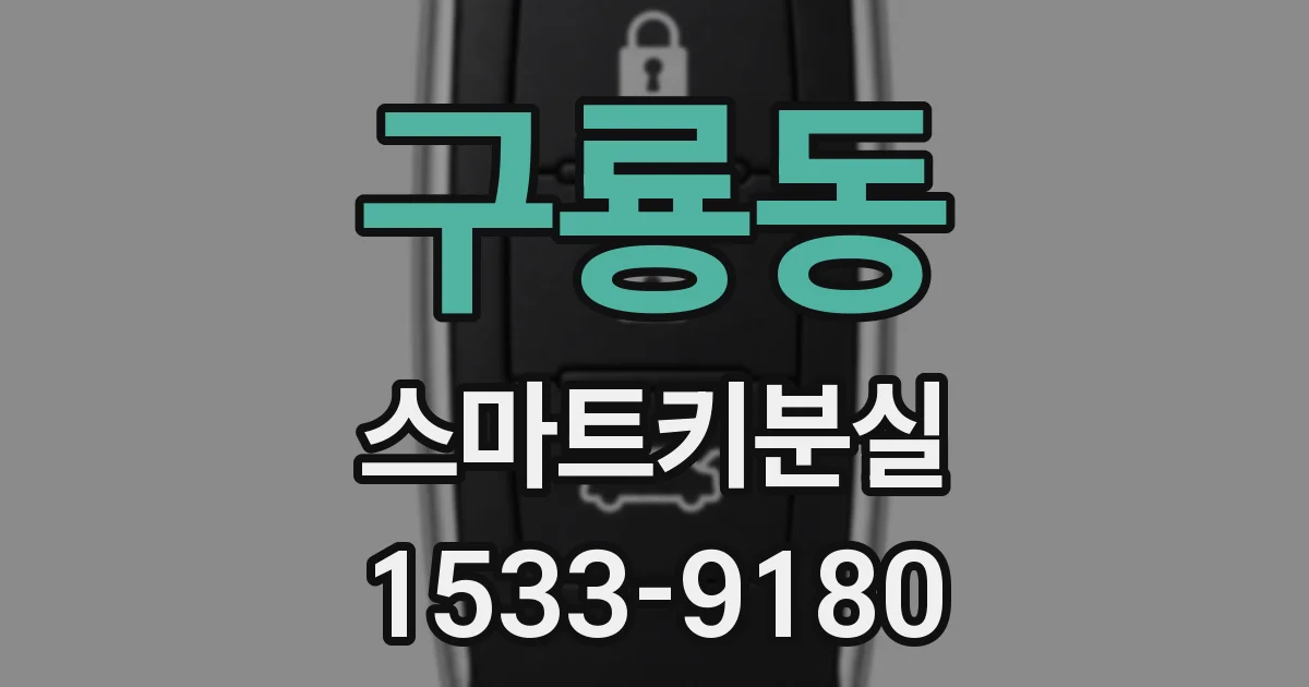 구룡동 스마트키분실