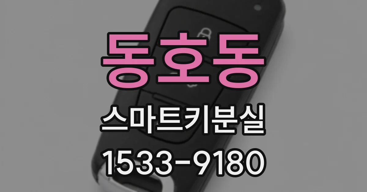 동호동 스마트키분실