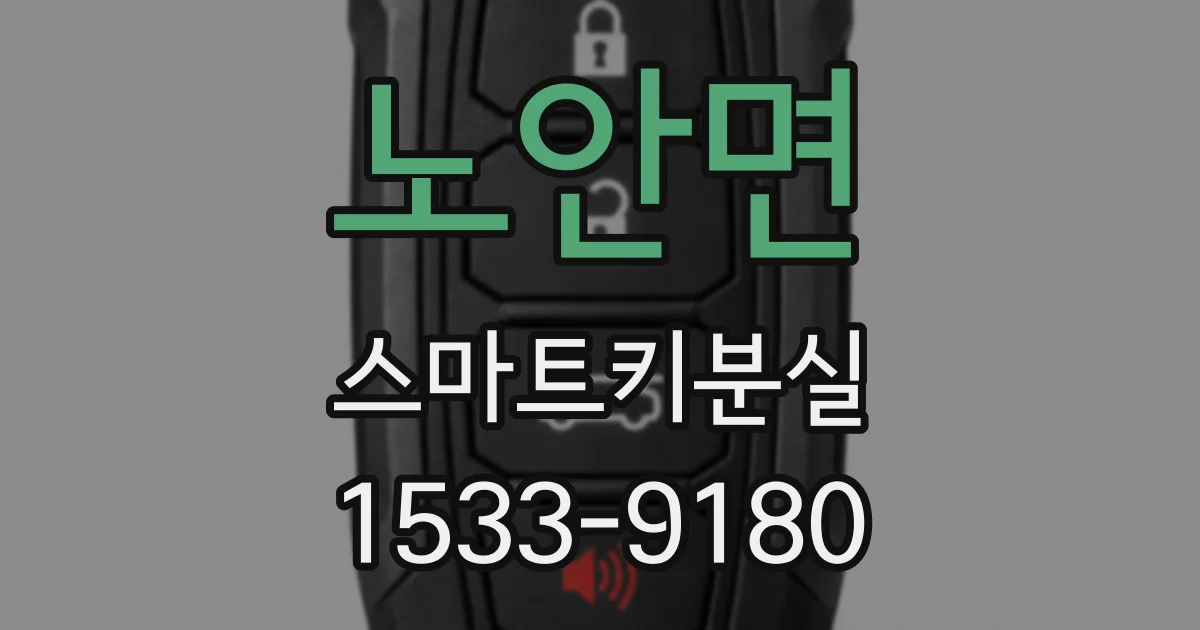 노안면 스마트키분실
