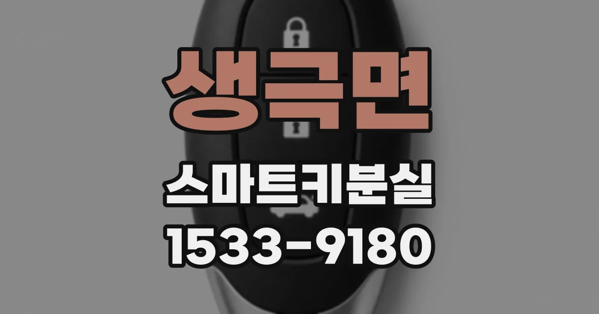 생극면 스마트키분실
