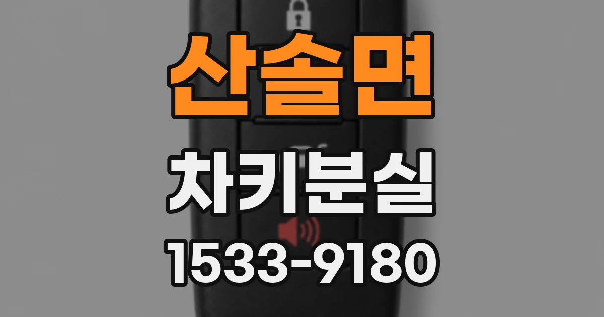 산솔면 차키분실