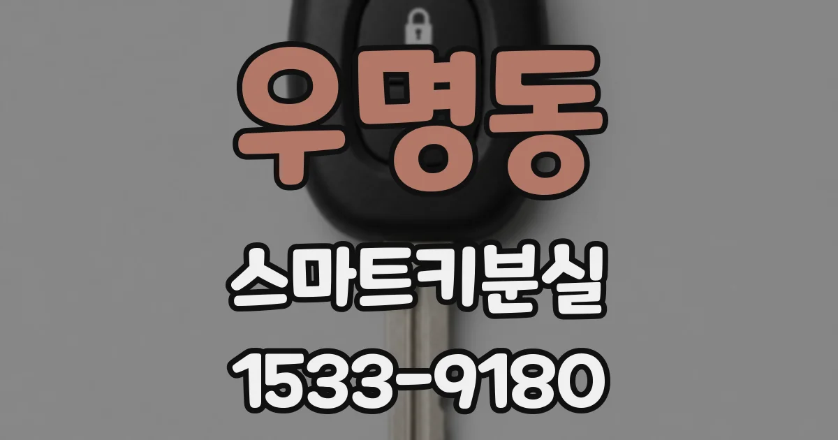 우명동 스마트키분실
