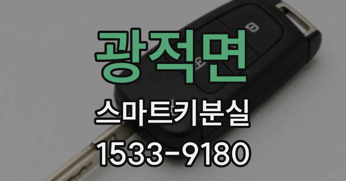 광적면 스마트키분실