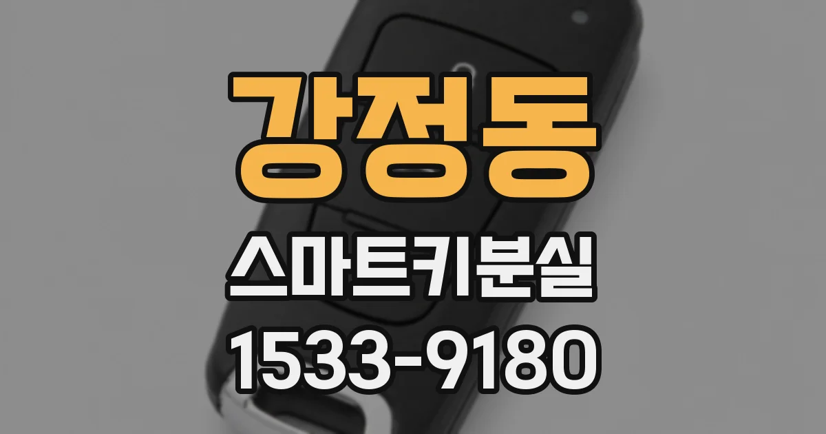 강정동 스마트키분실