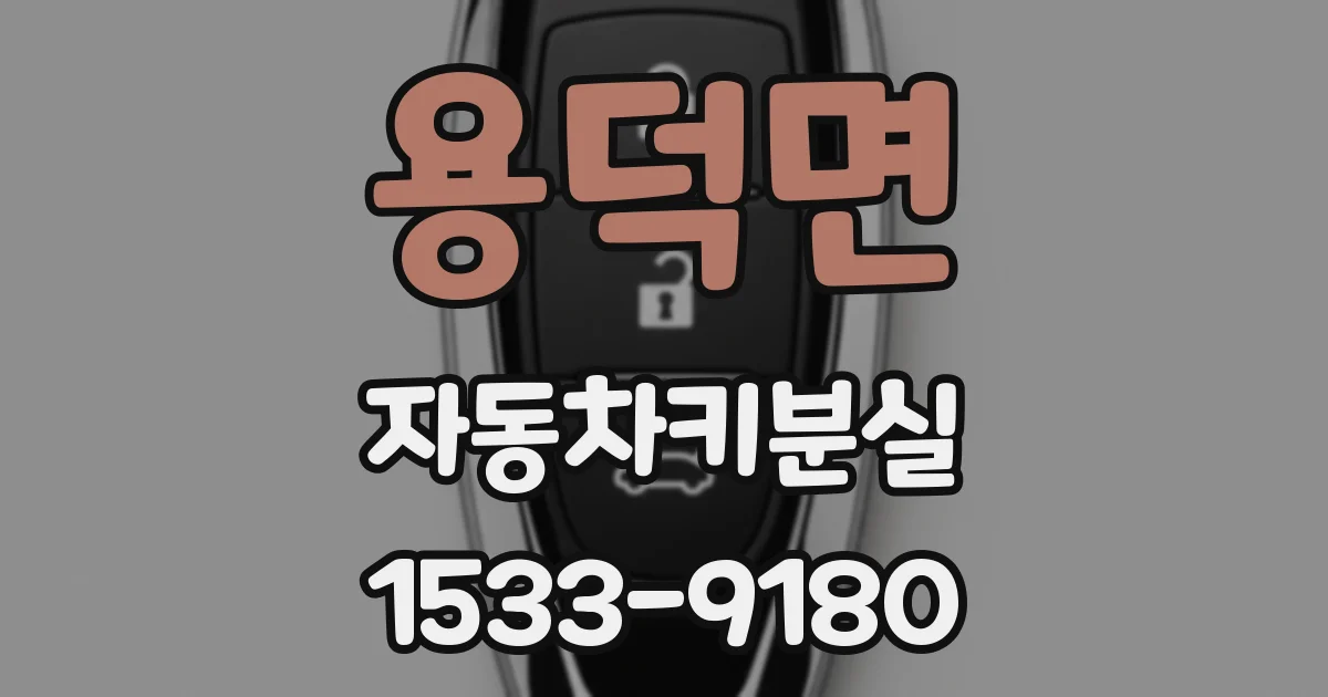 용덕면 자동차키분실