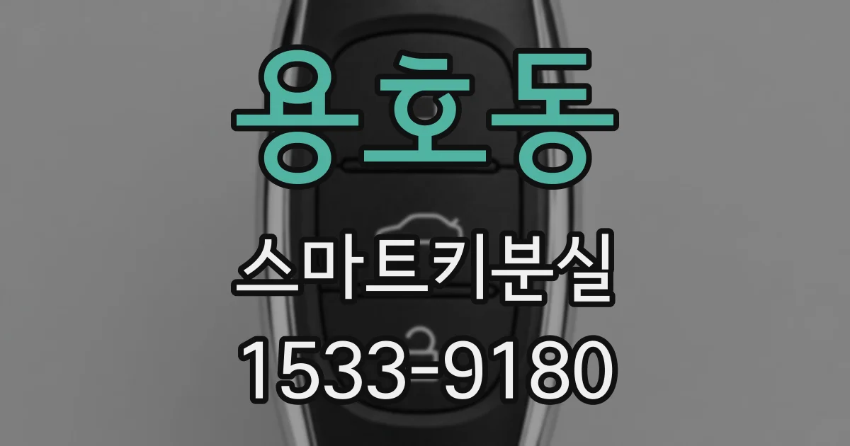 용호동 스마트키분실