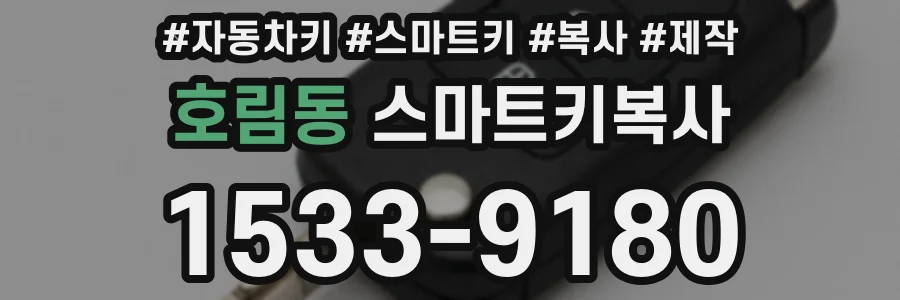 호림동 스마트키복사
