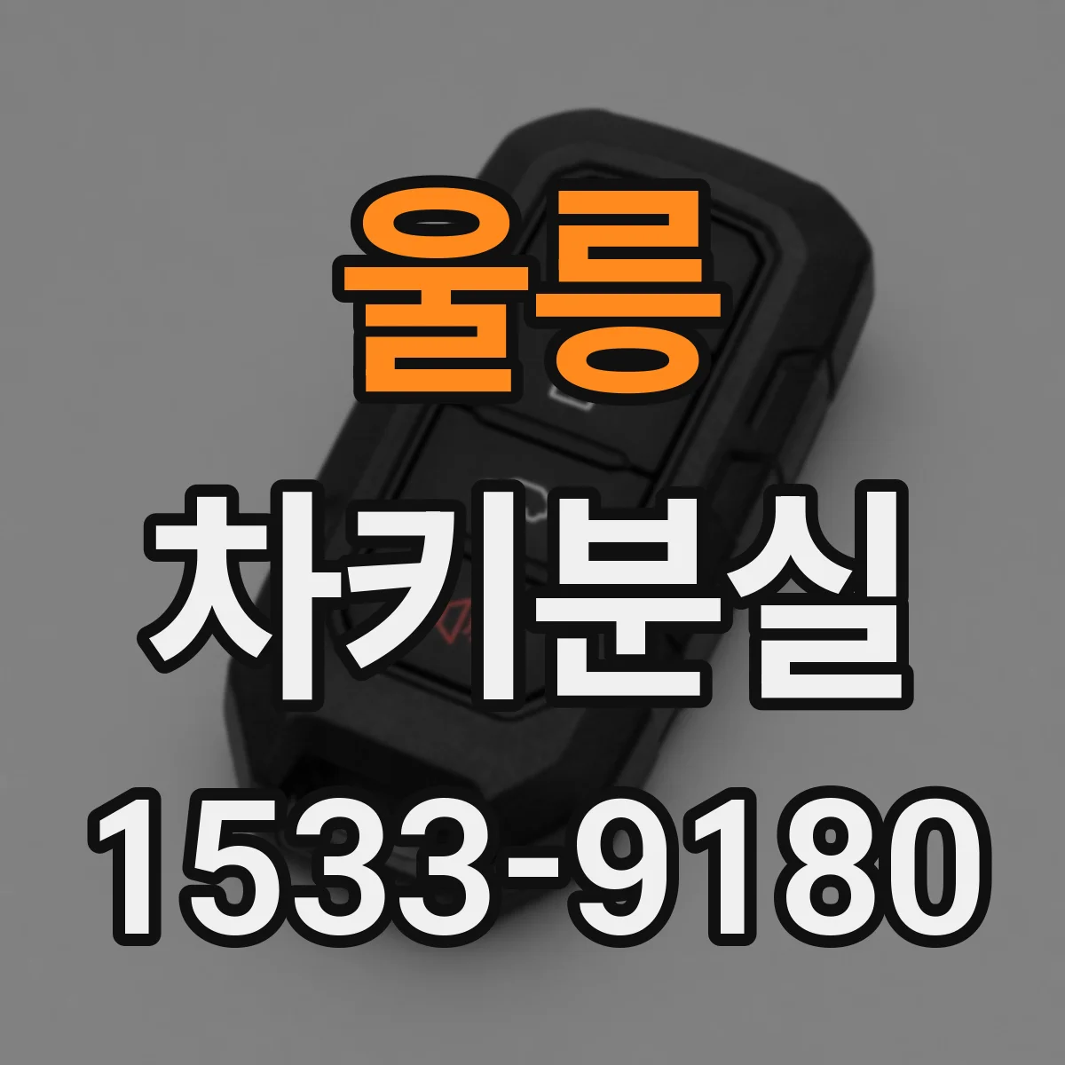 울릉 차키분실