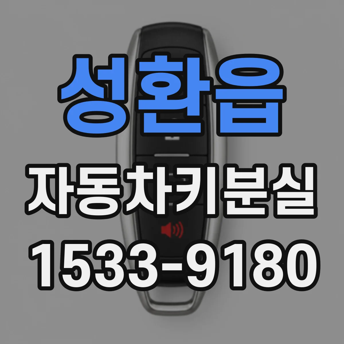 성환읍 자동차키분실