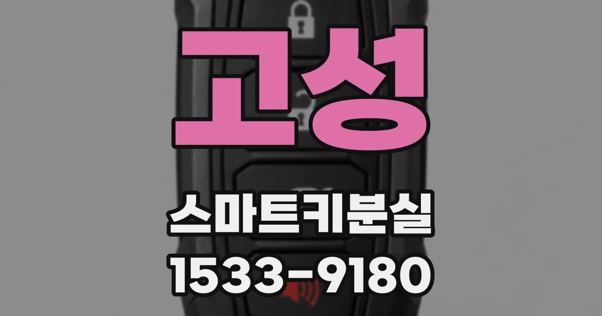 고성 스마트키분실